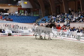 181957_mtp_08_R62_5639.JPG
