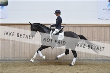 160111_nn_01__ESK2174.JPG
