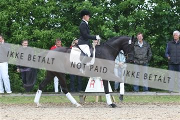 135518_ms_01_IMG_0778.JPG