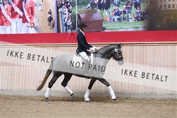 175166_kbb_01_R6II0121.JPG