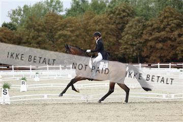 181923_mtp_03_R62_7533.JPG