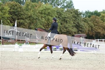 181923_mtp_04_R62_8437.JPG