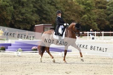 181923_mtp_03_R62_7300.JPG