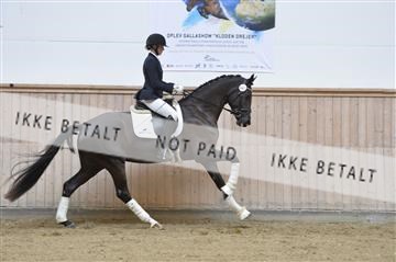 160111_nn_01__ESK1931.JPG