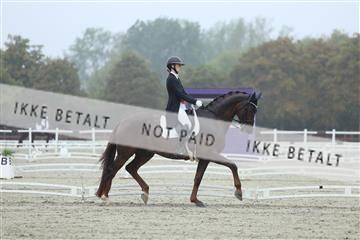 181923_mtp_03_R62_7760.JPG