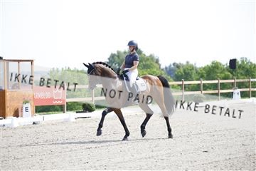 181449_kbb_02_6II1064.JPG