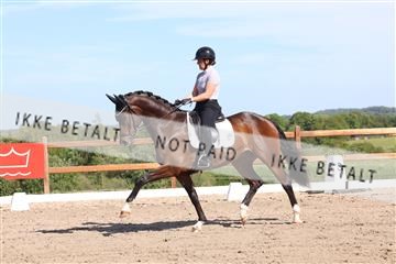 181449_bc_01R62_5997.JPG