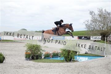 179331_kbb_01_R6II9817.JPG