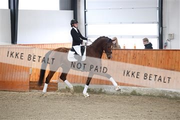 175681_avh_01_R62_9969.JPG