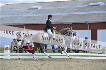 136195_abo_01__AB16260.JPG