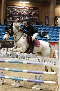 175934_avh_02_7189.JPG