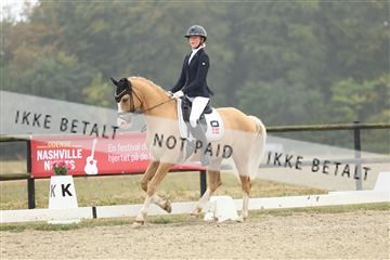 181894_mtp_04_R62_3566.JPG