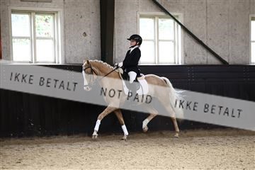 181243_avh_01_2400 (1).JPG