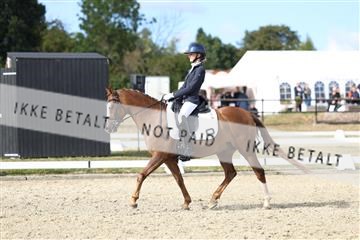 181894_mtp_05_R62_4960.JPG