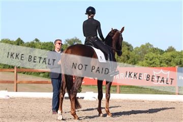181449_bc_01R62_6425.JPG