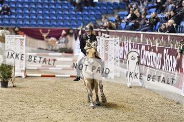 161006_abo_01__D051532.JPG