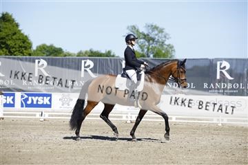 181449_kbb_01_6II9552.JPG