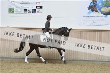 160111_nn_01__ESK1664.JPG