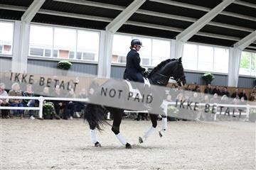 179088_mtp_01_3M5A3494.JPG