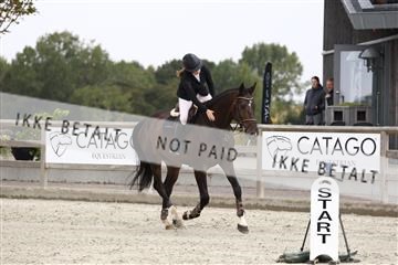 181922_avh_03_1952.JPG