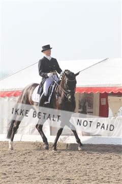 135676_sg_01_IMG_7364.JPG