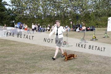 181848_kar_01__62_3950.JPG