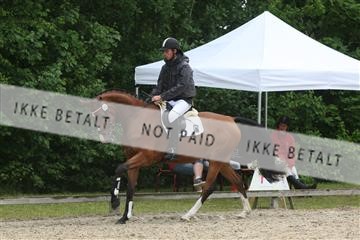 135518_ms_01_IMG_0944.JPG
