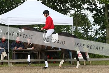 135518_ms_01_IMG_0386.JPG
