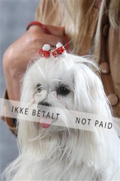 129608_le_ 01_0197.JPG