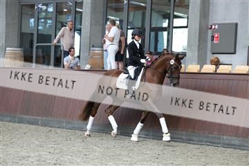 181852_mtp_05_R62_3336.JPG