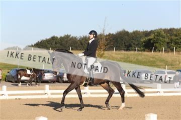 148862_sg_01_IMG_2491.JPG