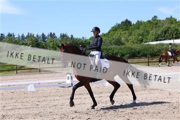 181449_bc_01R62_5551.JPG