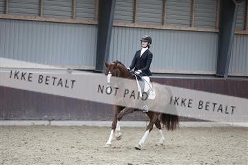 171210_mtp_01_3M5A6303.JPG