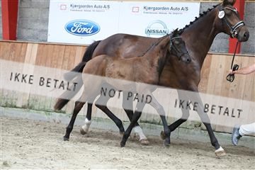 181868_mtp_03_R62_5702.JPG