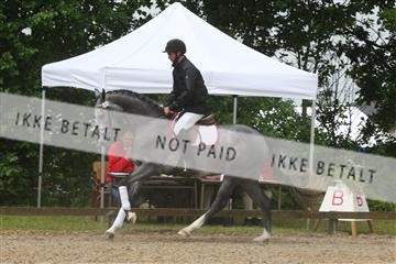 135518_ms_01_IMG_1248.JPG