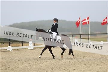 181894_mtp_04_R62_3503.JPG