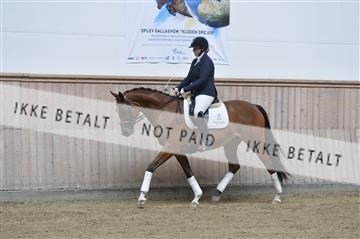 160111_nn_01__ESK1284.JPG