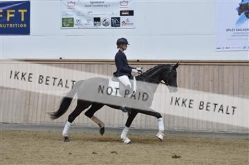160111_nn_01__ESK2163.JPG