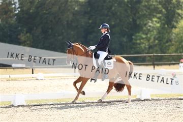 181894_mtp_02_R62_2281.JPG