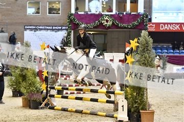 161006_abo_01__D050668.JPG