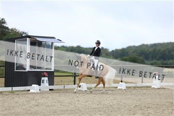 181894_mtp_04_R62_3739.JPG