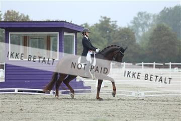 181923_mtp_03_R62_7759.JPG