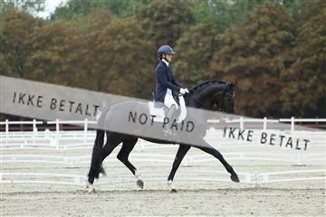 181923_mtp_03_R62_7723.JPG