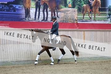 181887_mtp_04_R62_8388.JPG