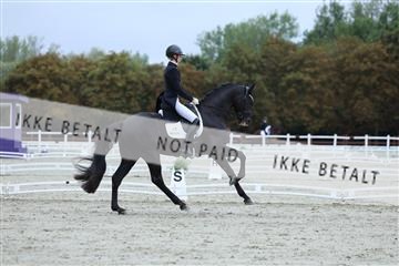 181923_mtp_01_R62_6563.JPG