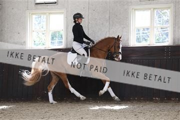 179104_avh_02_3316.JPG