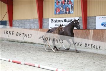 181868_mtp_03_R62_6208.JPG