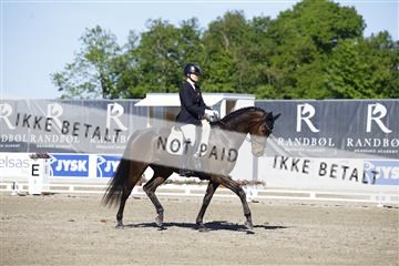 181449_kbb_01_6II9749.JPG