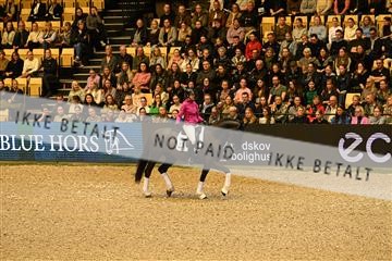 173966_jbr_02_JBR_2385.JPG
