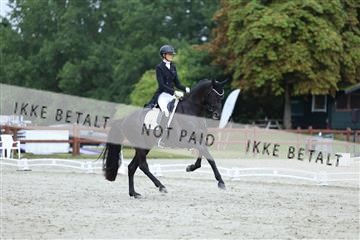 181923_mtp_01_R62_6557.JPG